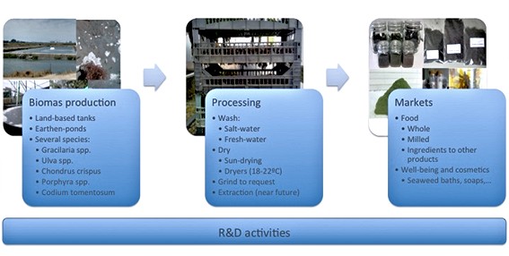 R&D activities