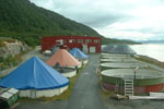 Troms Stamfiskstasjon